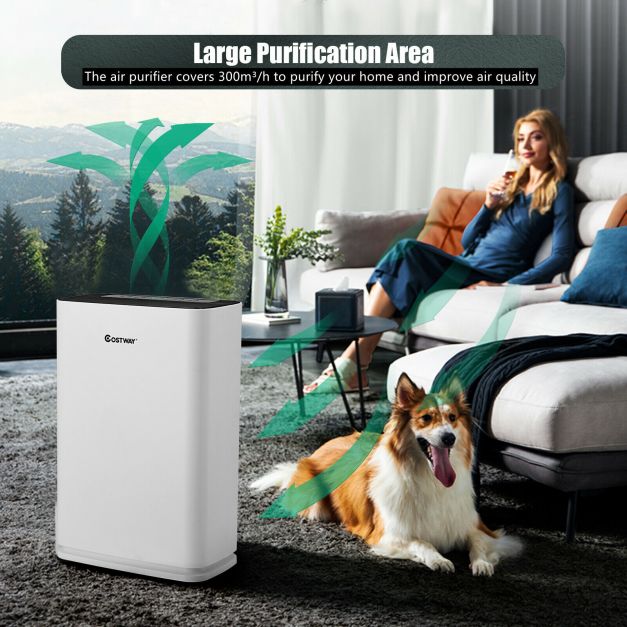 Advanced 4-Layer Purification Air Purifier with Replaceable Filter
